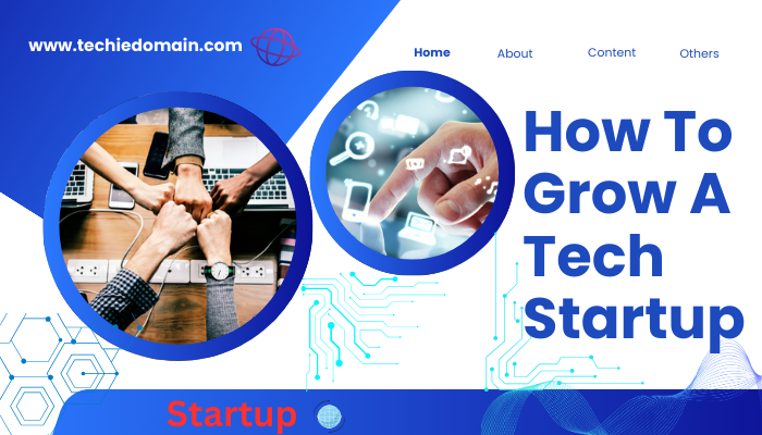 How To Grow A Tech Startup